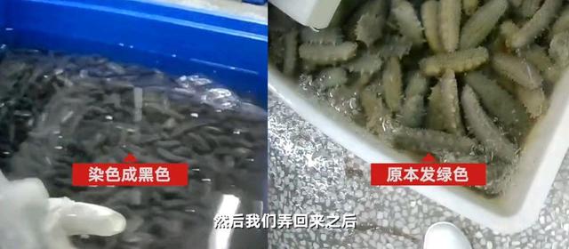 广州食品安全之315海参事件