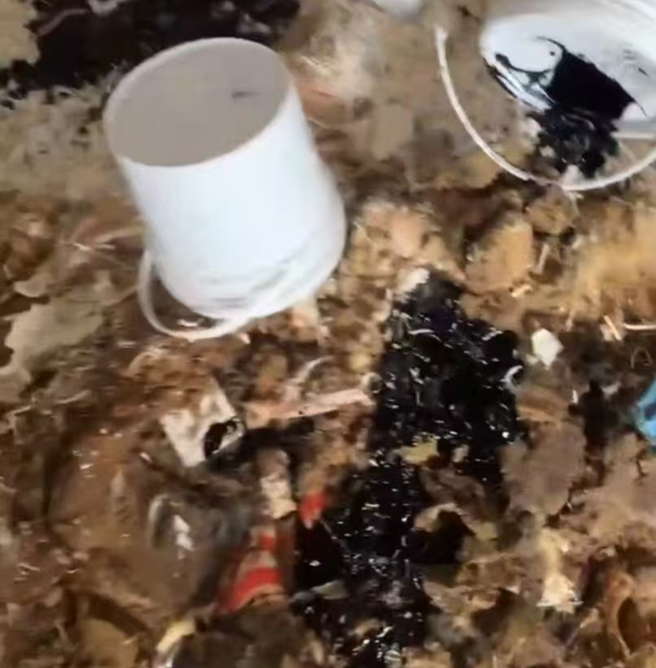 广州过期面粉销毁处理